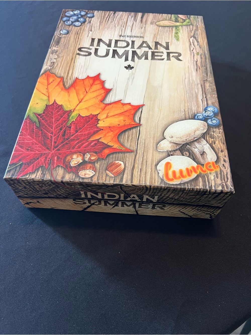 Indian Summer Board Game by Uwe Rosenberg - Like New! - Picture 5 of 8